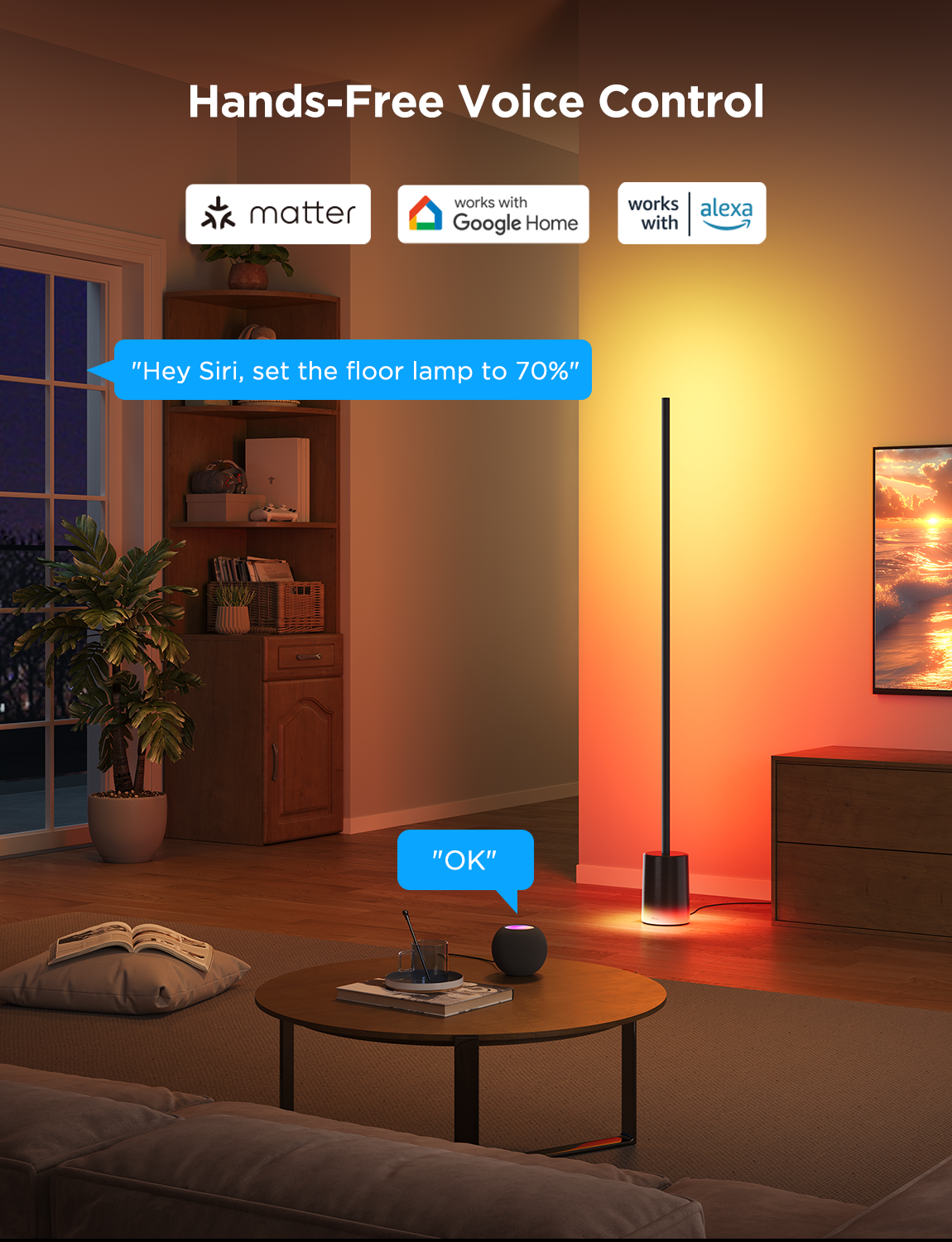 Govee Floor Lamp 2 — product shot