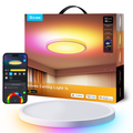 Govee 12 inch Smart Ceiling Light — Govee app control